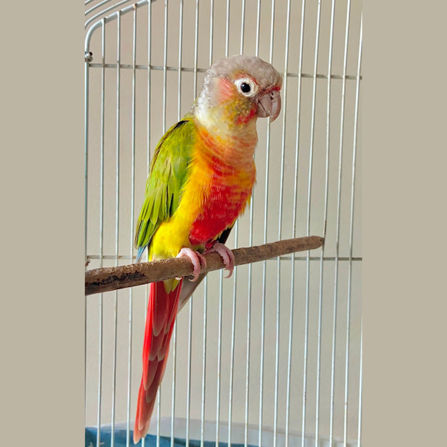 Photo of Marty