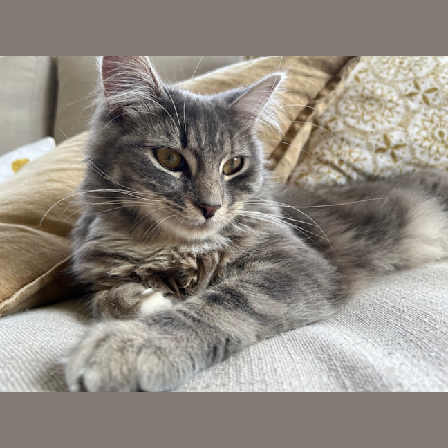 Photo of Wendy