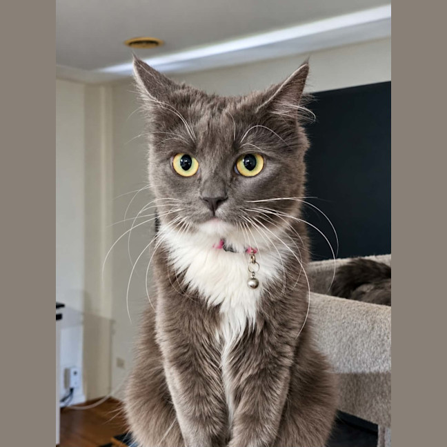 Photo of Sylvia