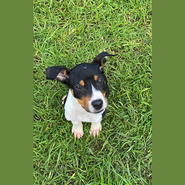 Photo of Mash