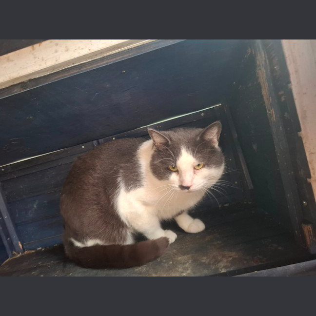 Photo of Hercules