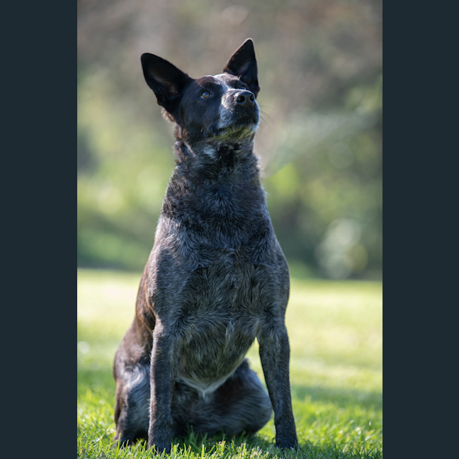 Photo of Tia
