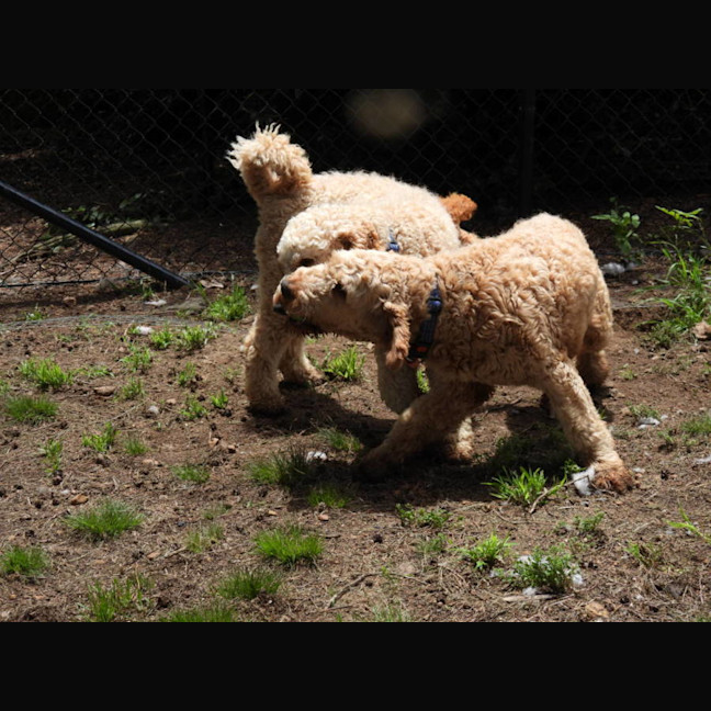 Photo of Kobi And Kane