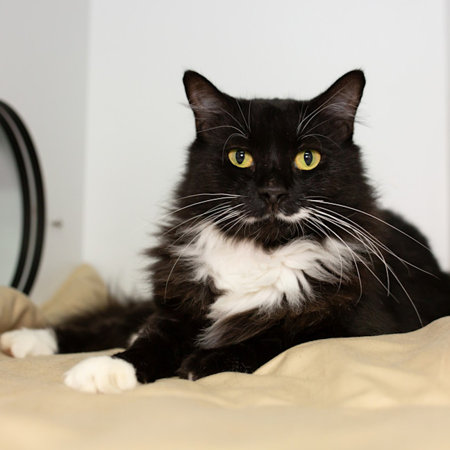 Photo of Betty