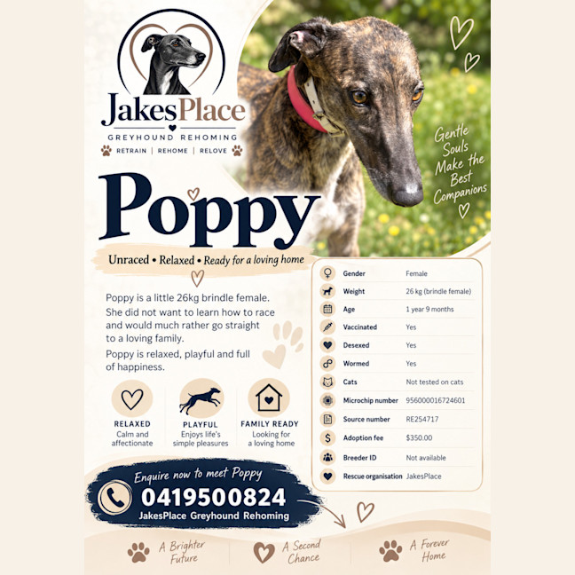 Photo of Poppy