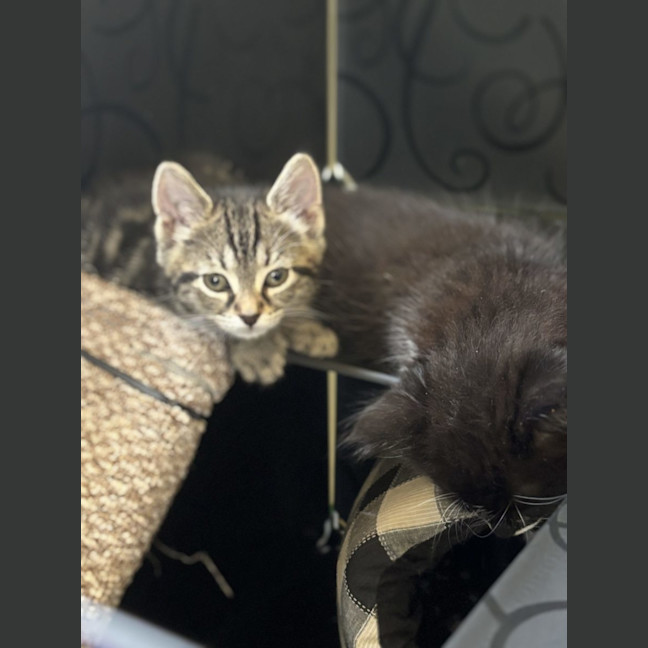 Photo of George   Reviewing Applications