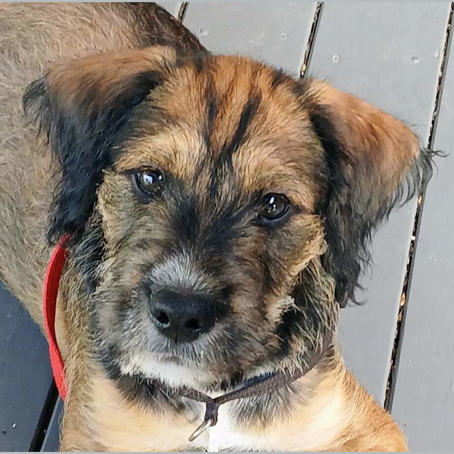 Photo of Kazoo
