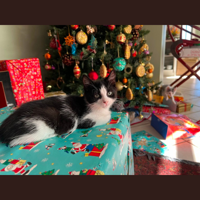 Photo of Xena And Smudge