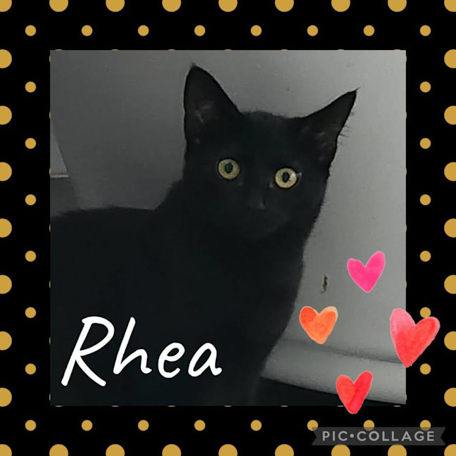 Photo of Rhea