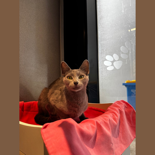 Photo of Miss Honey
