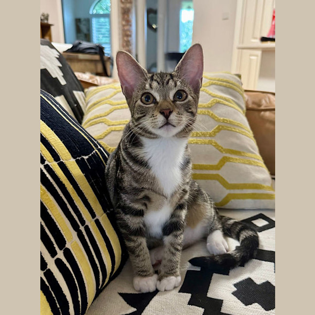 Photo of Wednesday 💕