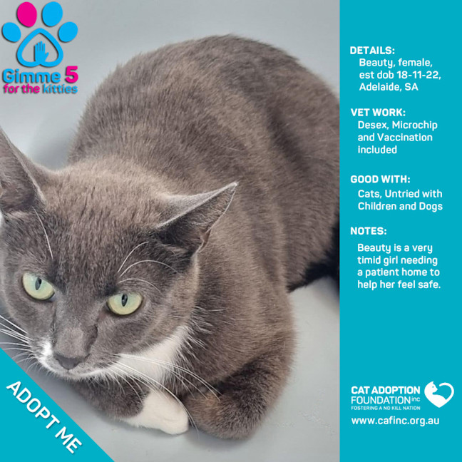 Photo of Beauty Only $50 Limited Time!