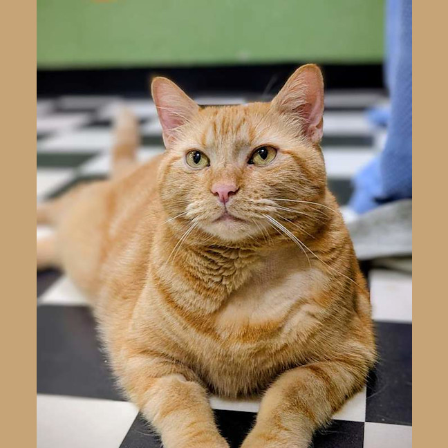 Photo of Bert