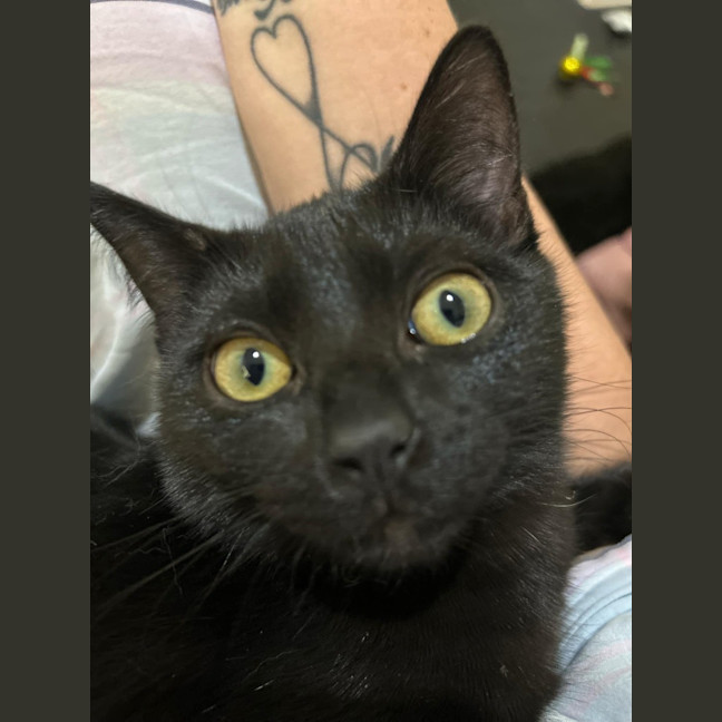 Photo of Monty