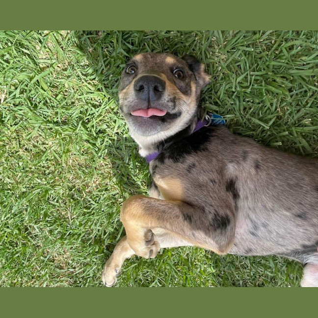 Photo of Delta 💜