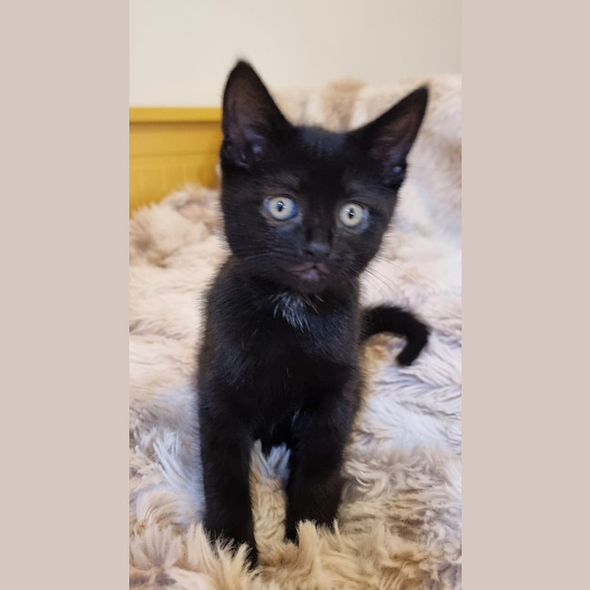 Photo of Astrid