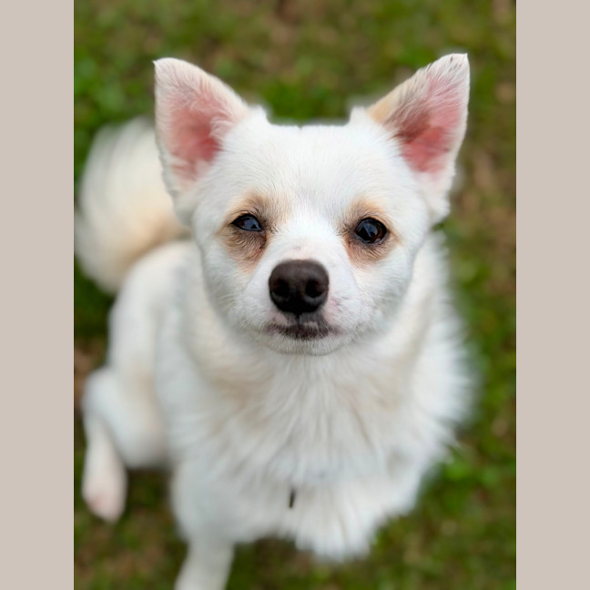 Photo of Benny