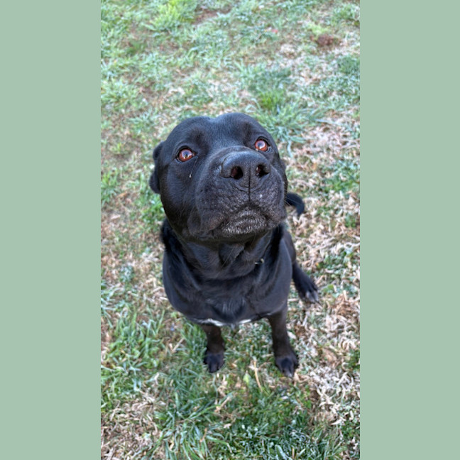 Photo of Tucker