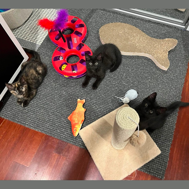 Photo of 💚 George 💚