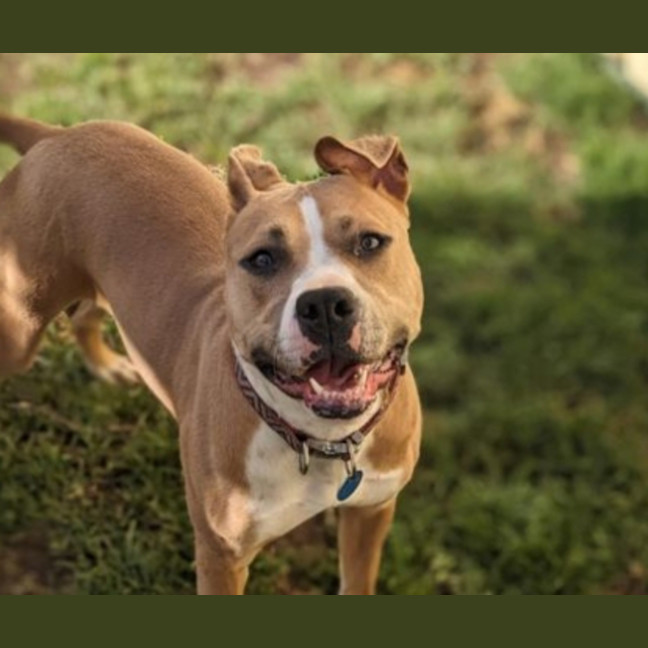Photo of Kimber