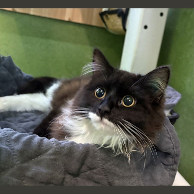 Photo of Hallie 