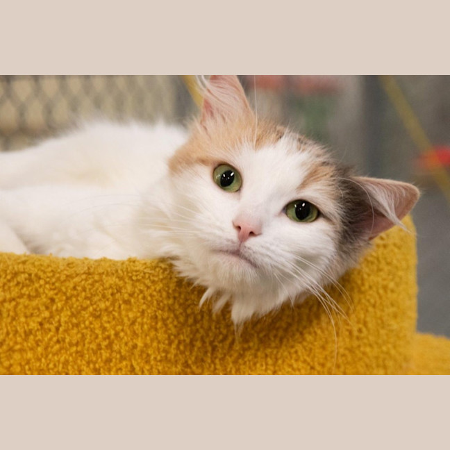 Photo of Ruth Russelton