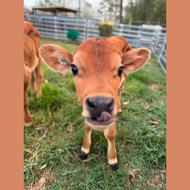 Photo of Lyal And Malu