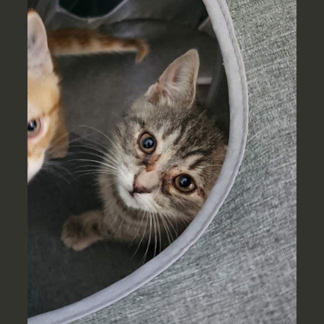 Photo of Biggie Smalls And Mia 