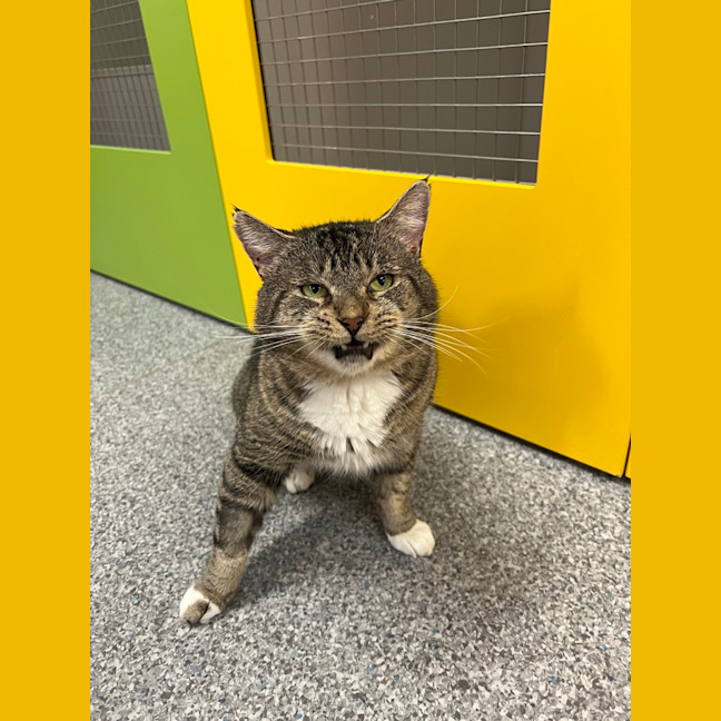 Photo of Lucius Klaassen