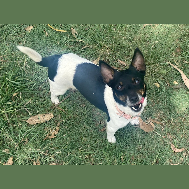 Photo of Grace