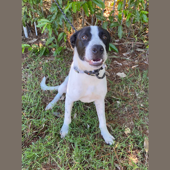 Photo of Oakley