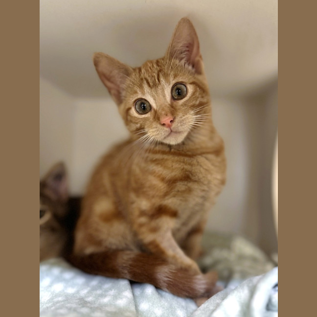 Photo of Elliott