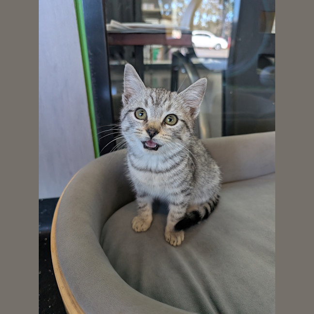 Photo of Timothy 