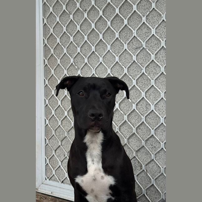 Photo of Spencer