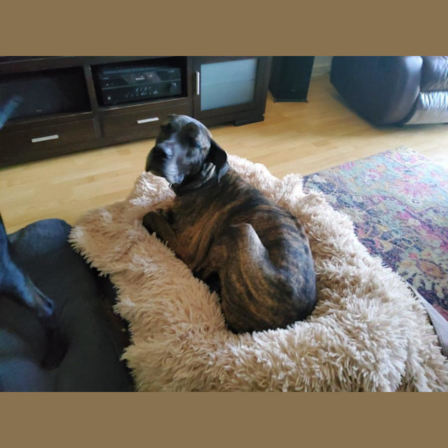 Photo of Captain Tamblyn