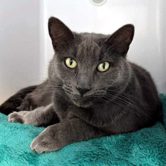 Photo of Sabrina Sua013460