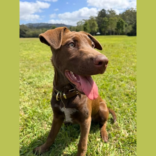Photo of Charlotte