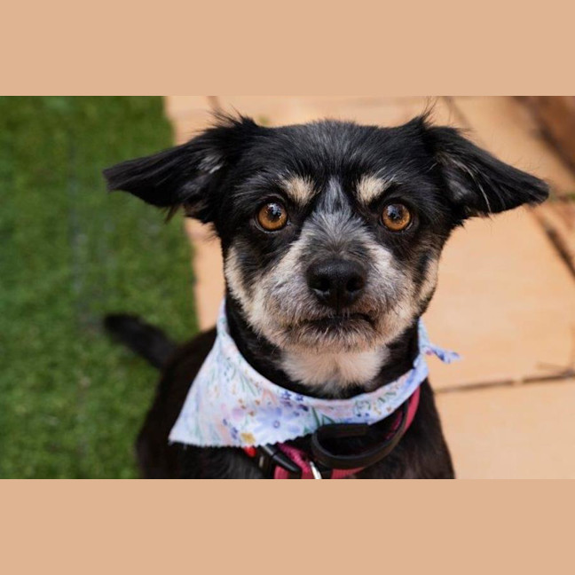 Photo of Jedda O'cleary