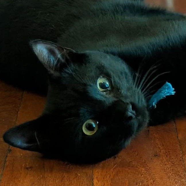 Photo of Uno