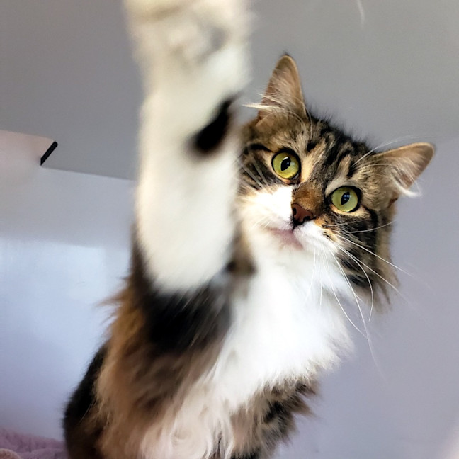 Photo of Ivy Sta012785