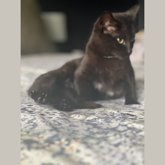 Photo of Maya