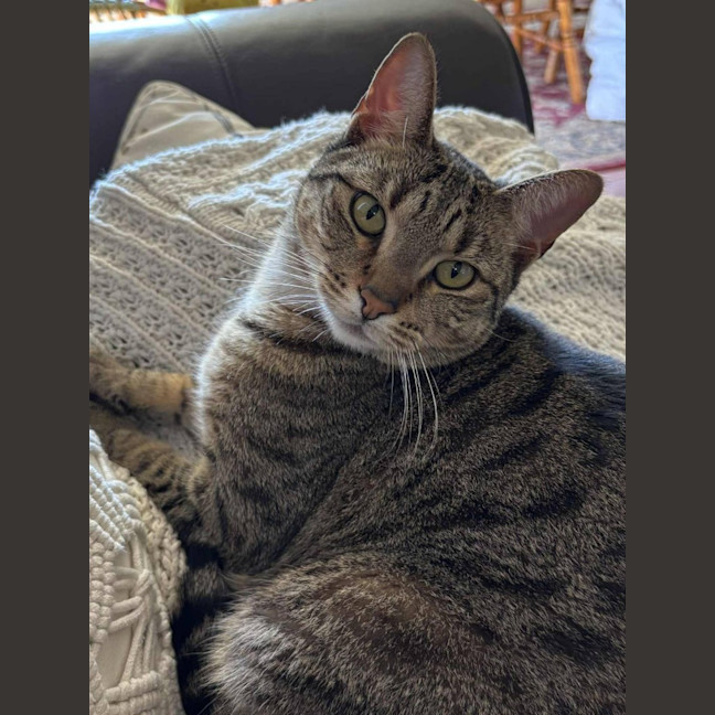 Photo of Archie
