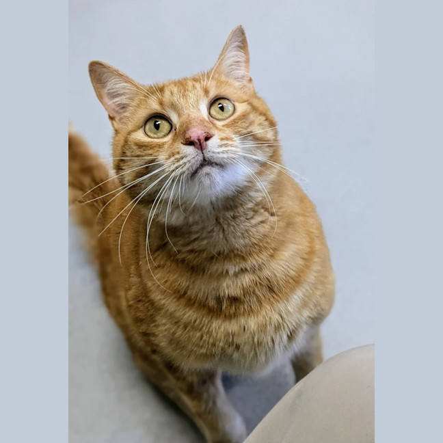 Photo of 🥝 Freddie 5515 🥝