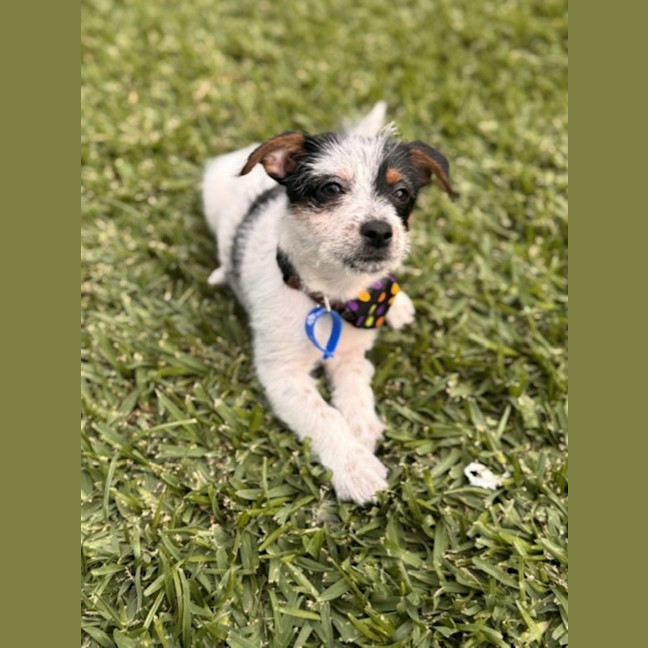 Photo of Bobby