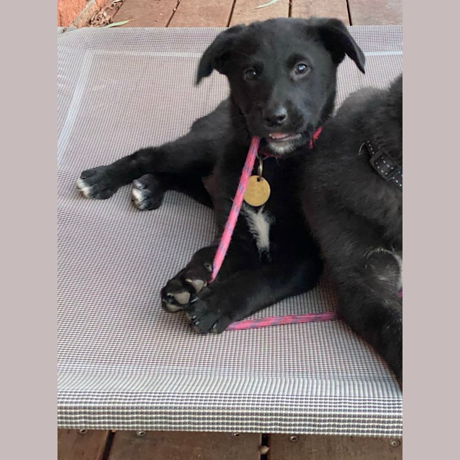 Photo of Naturaliste