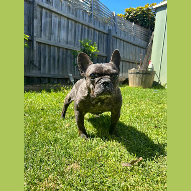 Photo of Maggie And Mr Wiggles