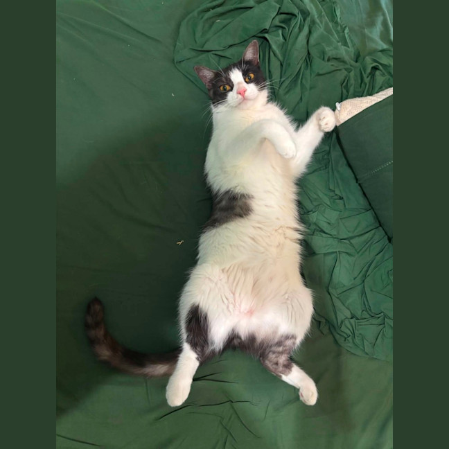 Photo of Bubbles