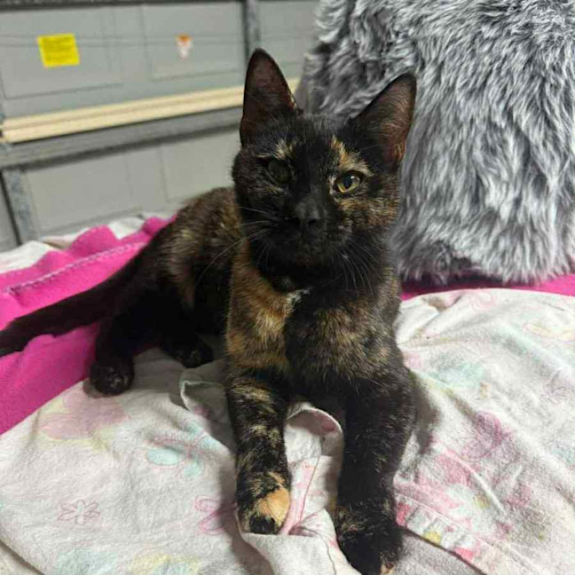 Photo of Kallie 🍃💕