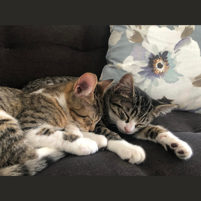 Photo of Miley & Robbie 