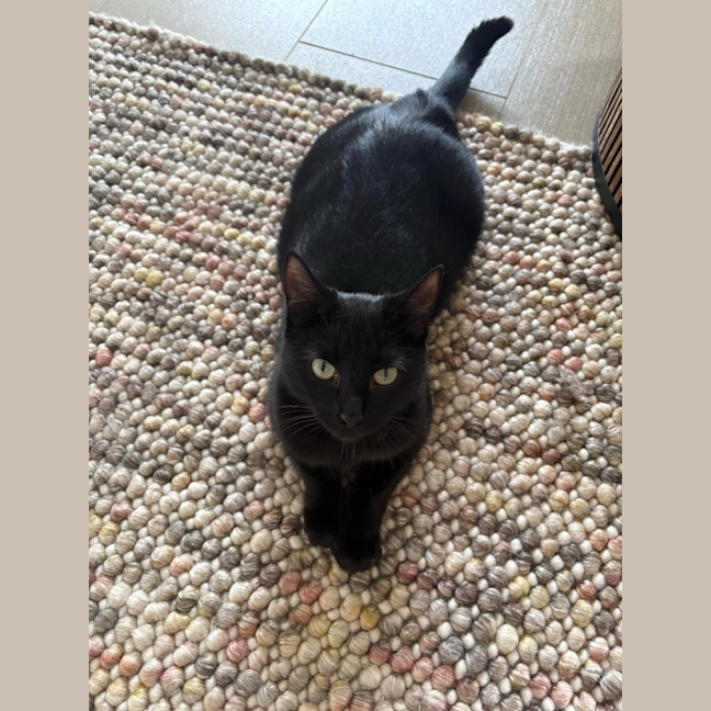 Photo of Cleo